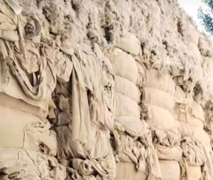 出售环纺破籽，包布，现货一车