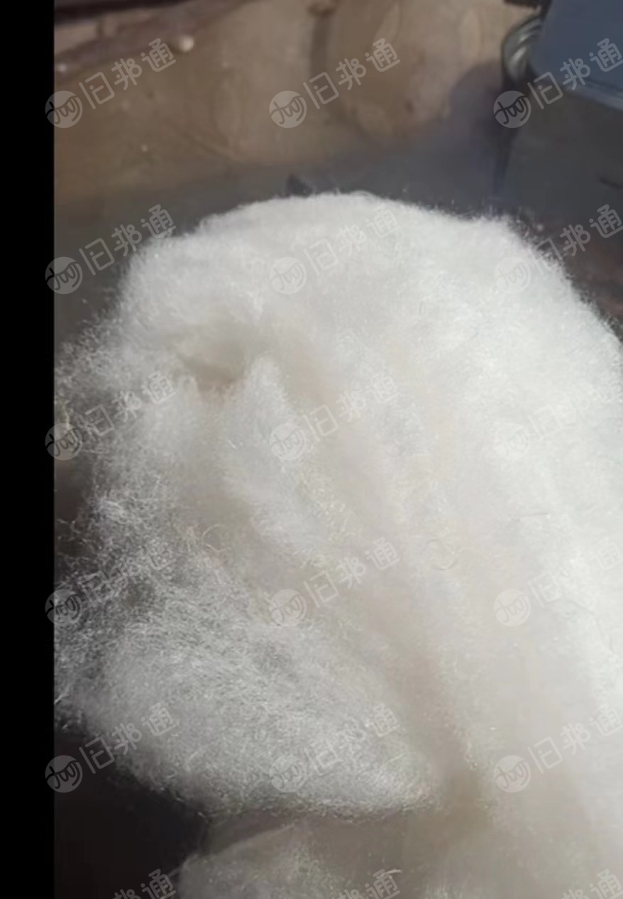 长期出售精梳粘胶棉,卫棉,用于纺纱,卫材,絮棉