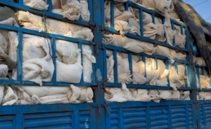 长期出售大量古棉，丝绵，枕芯棉，现货9.6米一车！