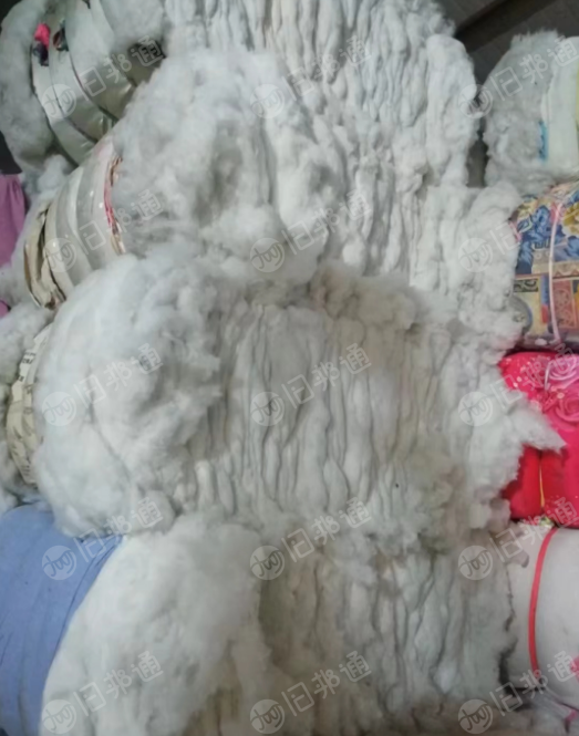 长期出售再生棉，开花枕芯棉，丝绵、填充料