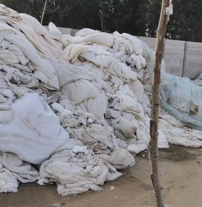 长期供应棉被,学生被,古棉，现货50吨！