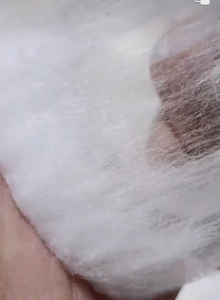 长期供应特白涤棉，可纺纱，可做棉絮