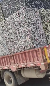 长期大量出售再生海绵，现货够车