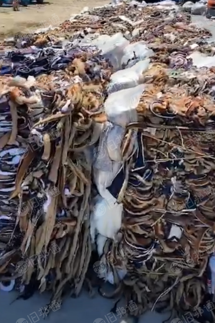 长期供应氨纶涤纶化纤废布,量大从优!