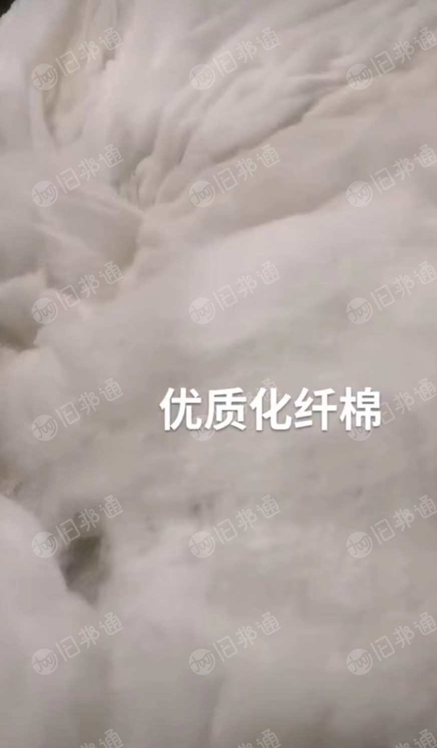 出售羊毛衫开花棉,高弹丝开花棉,优质化纤棉