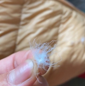 出售旧羽绒服，二手羽绒服