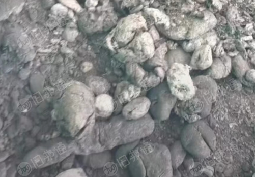 长期出售铝塑膜炼出来的铝粉