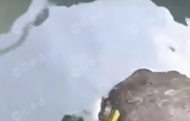 长期出售铝塑油