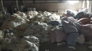 云贵川大量回收棉花，古棉，丝绵!