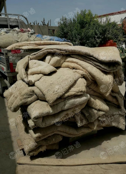 长期大量回收旧网套,阿克苏,库车、新和、沙雅,有旧网套的热线联系
