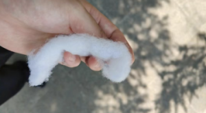 河南洛阳出售丝绵5吨，带价格联系！