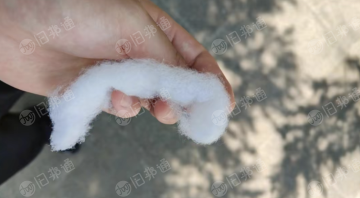 河南洛阳出售丝绵5吨,带价格联系!