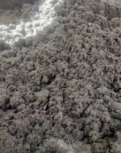 长期出售尼龙胎线毛