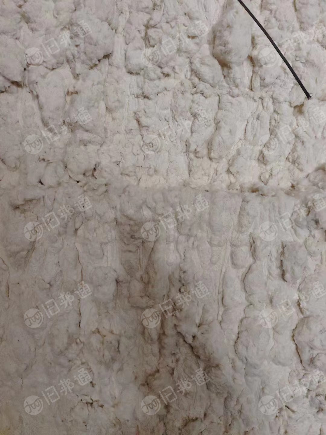 出售纺落棉线头棉下来的车肚十几吨