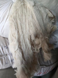 出售精品纯棉回丝，长期供应，现货20多吨！