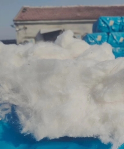 地产皮棉，棉籽，絮棉，长期大量出售