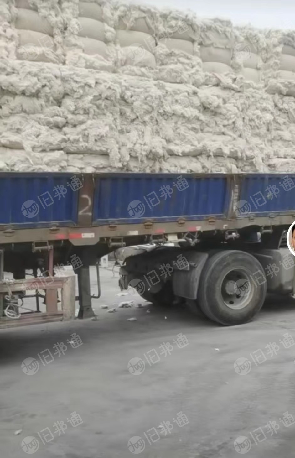 纯棉气流纺车肚,纯棉车肚,长期大量出售