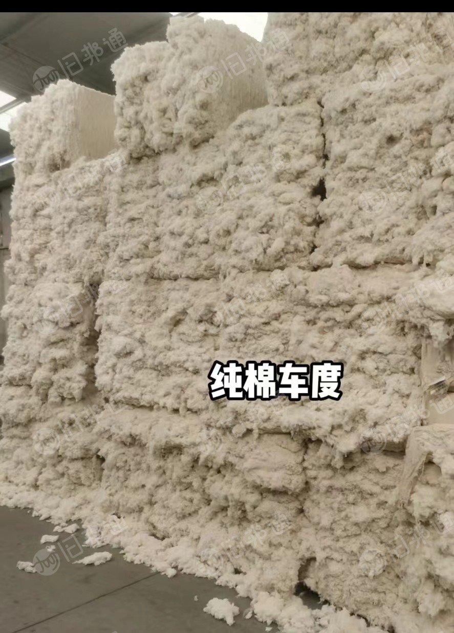 纯棉气流纺车肚,纯棉车肚,长期大量出售