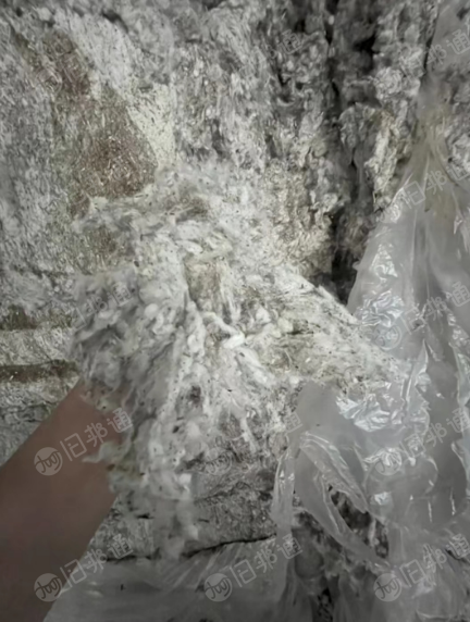 气流纺纯棉车肚 无三丝 现货100吨出售