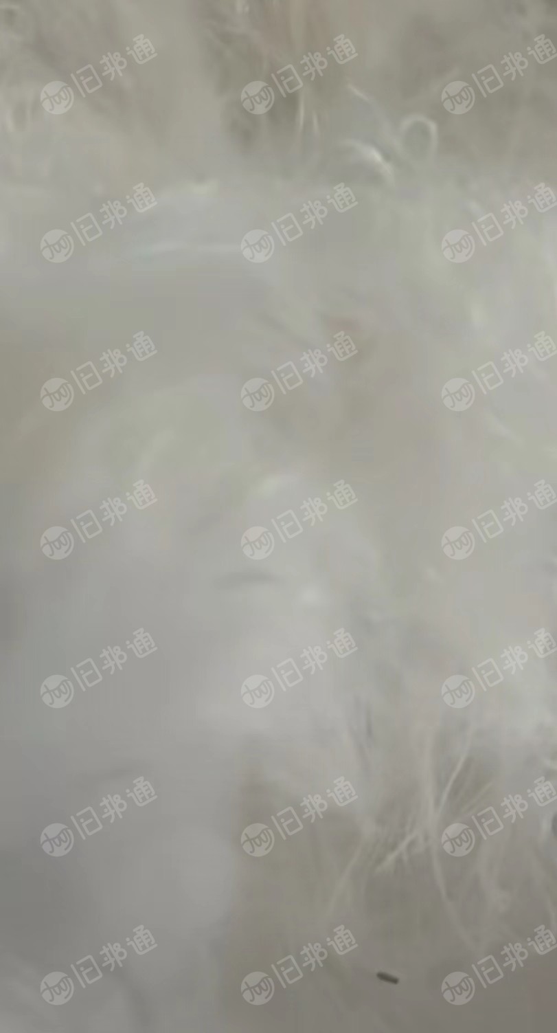 开松好的4080低熔点开松料,再生棉,长期大量出售
