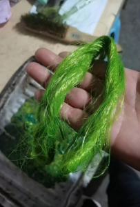 泡料厂高价现金收购涤纶浅色，涤纶三色，涤纶灰色废布，有货的来！