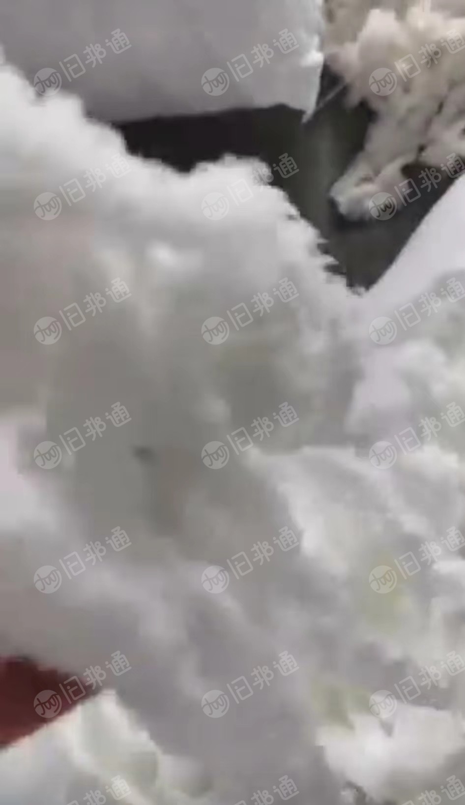 白色弹丝氨纶毛边开花料,月供50吨,大量出售