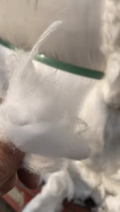 黏胶车肚，风箱棉长期供应全国可发货！