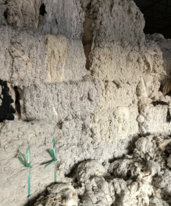 纯棉环纺车肚长期供应