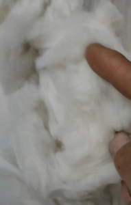 混纺开丝棉，纯棉，大化，包芯纱等各种开丝棉，开花棉，大量出售