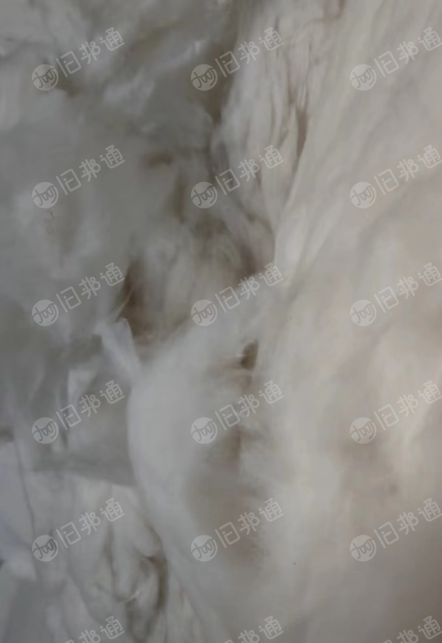 混纺开丝棉,纯棉,大化,包芯纱等各种开丝棉,开花棉,大量出售