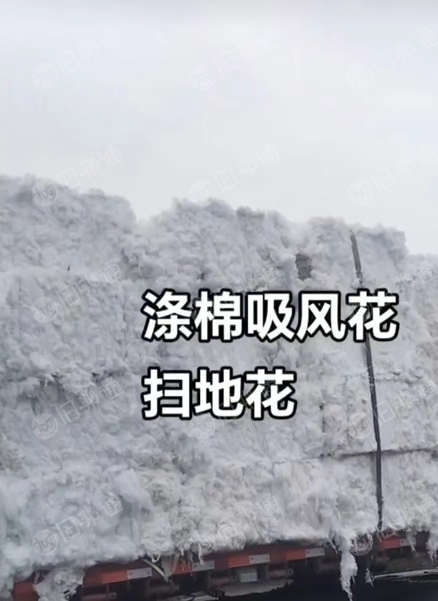 涤棉风箱花,扫地花,大量出售