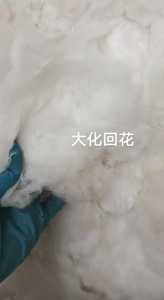 大化回花，大化棉，大量出售