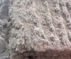 棉纺厂各种原料，破籽，气流纺车肚等，大量出售