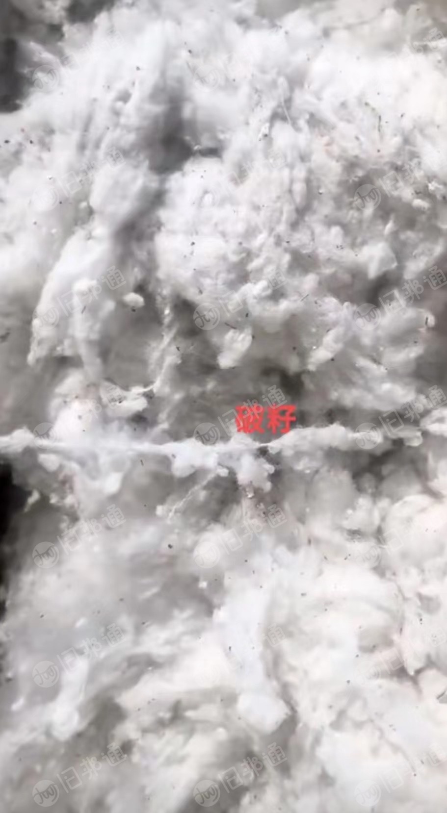棉纺厂各种原料,破籽,气流纺车肚等,大量出售