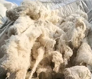 全棉回丝下脚料,精纺布边,全棉布边等,大量出售
