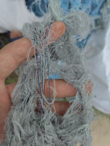 花筋精纺布边，边纯棉，花筋含涤，现货9.6米一车出售