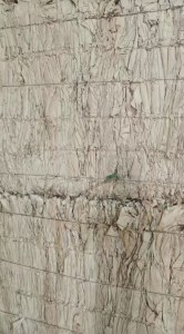 光伏纸压块料出售，无水无杂，