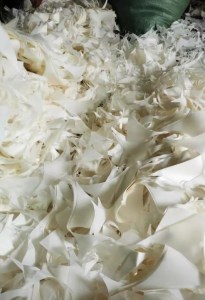 硅油纸回收，卷筒料，散料都可