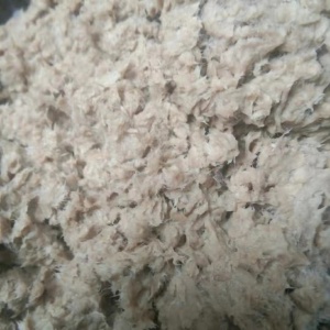 纸浆，日供200吨