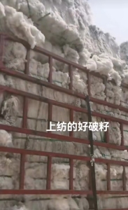 破籽，纯棉破籽，现货够车，大量出售欢迎来电谈