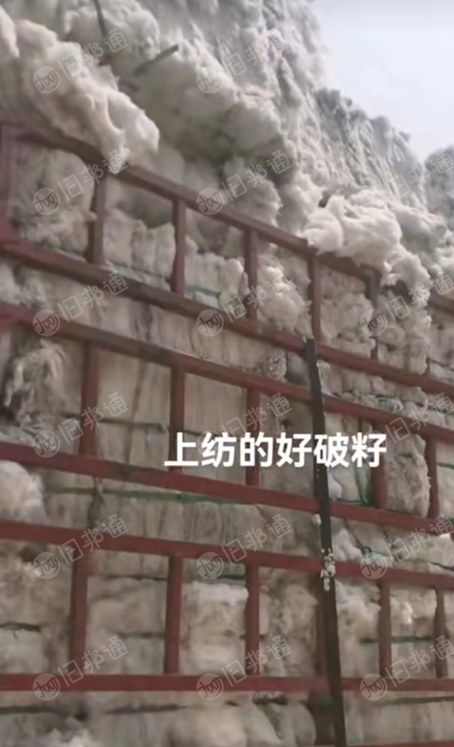 破籽,纯棉破籽,现货够车,大量出售欢迎来电谈