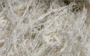 纯棉精纺回丝、纯棉40、60车肚长期回收