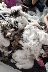 羊绒回丝 软回丝 硬回丝 回毛落物 扒皮 精短批尾纱线长期回收