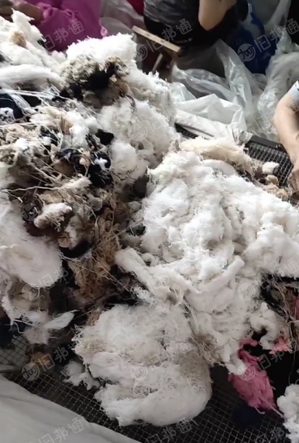 羊绒回丝 软回丝 硬回丝 回毛落物 扒皮 精短批尾纱线长期回收