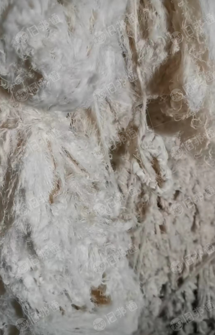 纯棉回丝长期大量回收