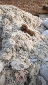 纯棉回丝布块长期出售