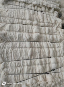 包皮布开花棉大量出售