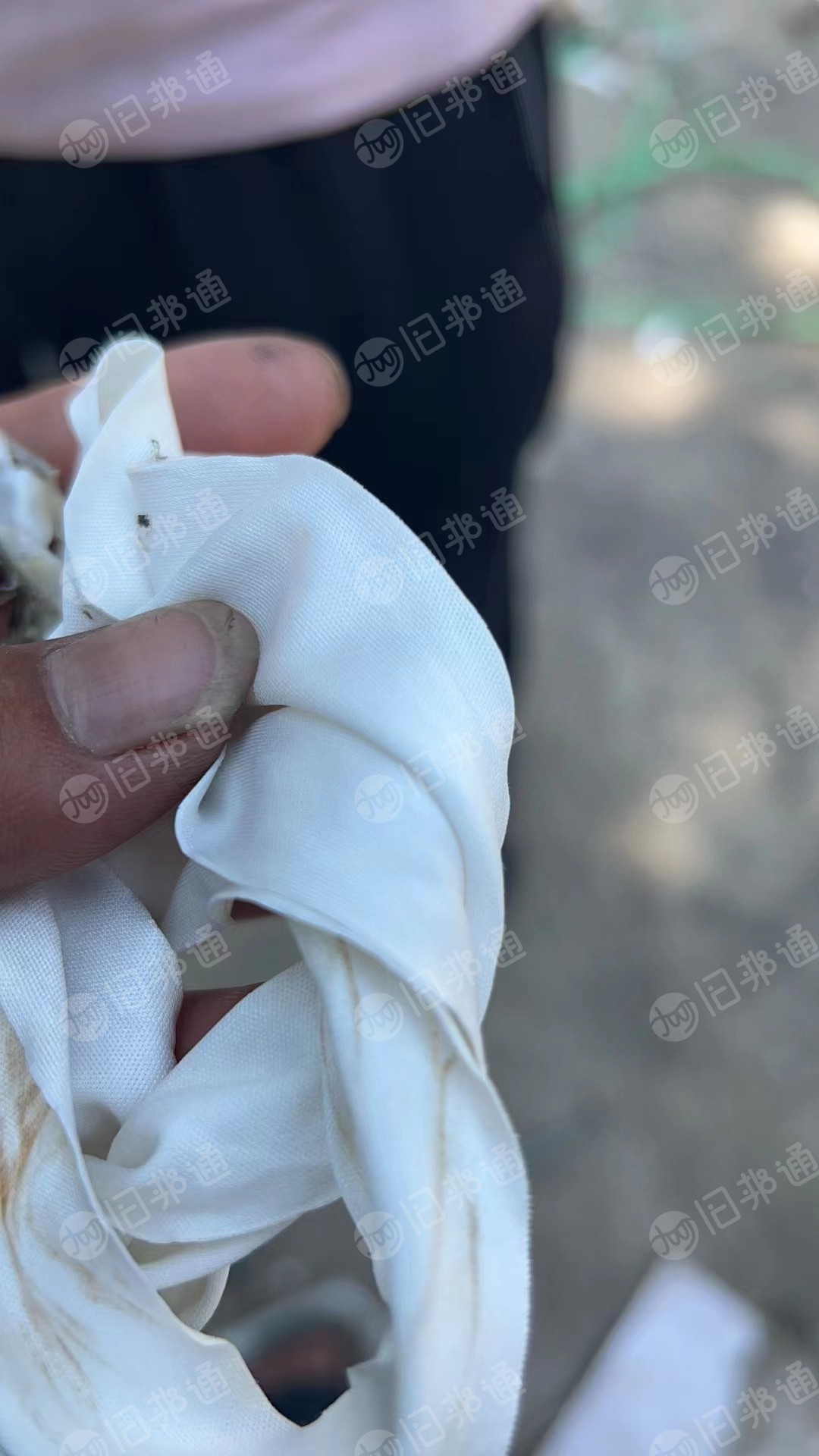 出售漂白针织开花料,涤锦开花料