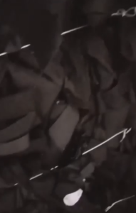 黑色白色无纺布下脚料，现货够车出售