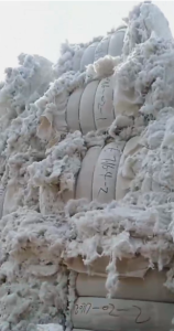 出售精梳60车肚，无三丝